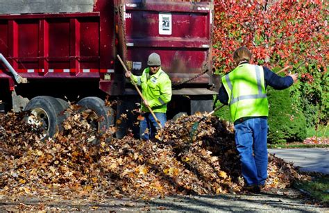 Leaf pickup. Things To Know About Leaf pickup. 